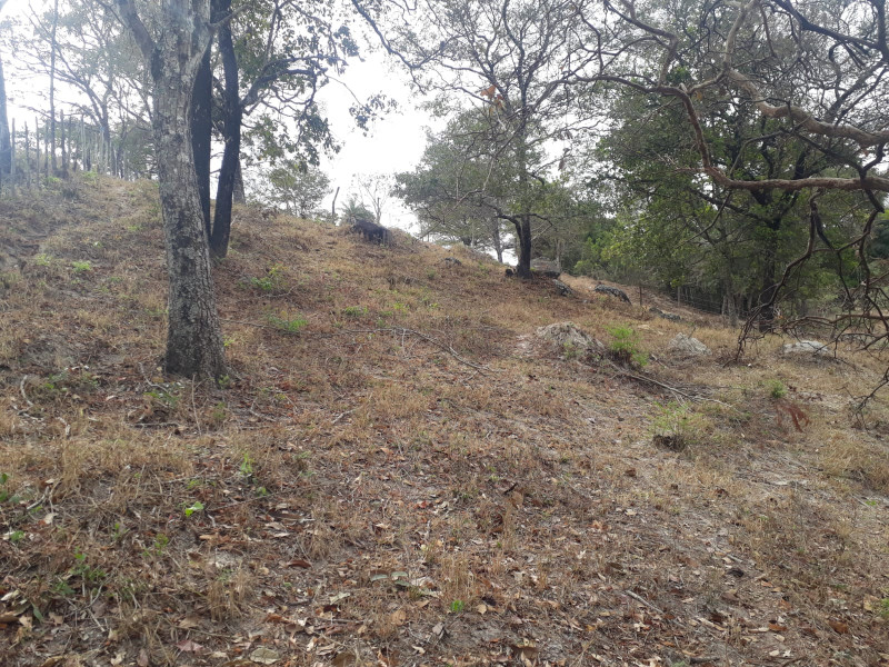 Terreno à venda Centro com 20000m² e 1 quarto por R$ 240.000 - 90417501-whatsapp-image-2023-04-13-at-10.jpeg