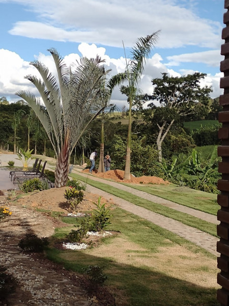 Sítio à venda Centro com 7m² e 3 quartos por R$ 1.550.000 - 1137707788-ce2827df-c851-4356-9d5a-6b4b5789bbc4.jpeg