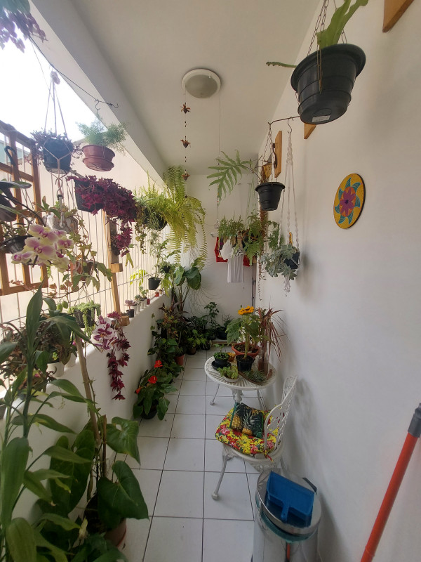 Casa à venda Paraíso com 900m² e 5 quartos por R$ 7.500.000 - 1245473501-20221228-103011.jpg
