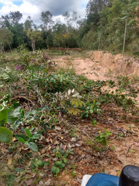 Chácara à venda São José com 1300m² e 4 quartos por R$ 45.000 - 1017978957-img-20220312-142310019-hdr.jpg