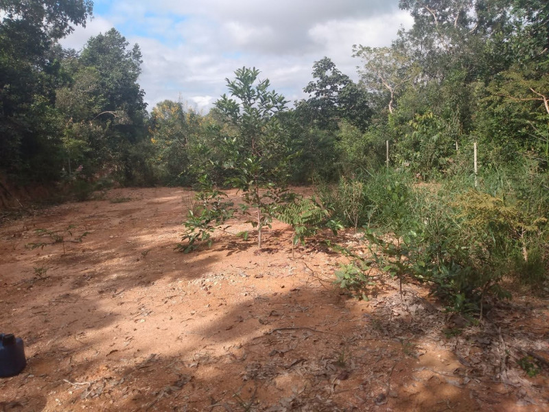 Chácara à venda São José com 1300m² e 4 quartos por R$ 45.000 - 1310939338-ca4a24bf-df07-4380-a3ab-c1ad3ada320b.jpg