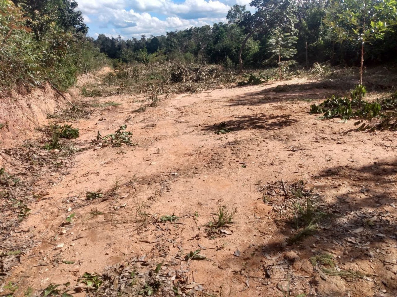 Chácara à venda São José com 1300m² e 4 quartos por R$ 45.000 - 1695289170-98f0f0fc-2e86-4233-8276-f0fccf714982.jpg