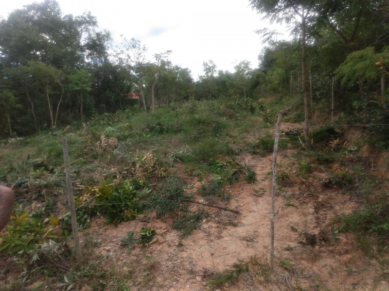 Chácara à venda São José com 1300m² e 4 quartos por R$ 45.000 - 1720469244-img-20220312-161938351.jpg