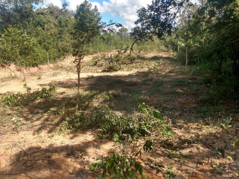 Chácara à venda São José com 1300m² e 4 quartos por R$ 45.000 - 2078107304-90529230-9d07-40b8-b432-41ecd68d6f18.jpg