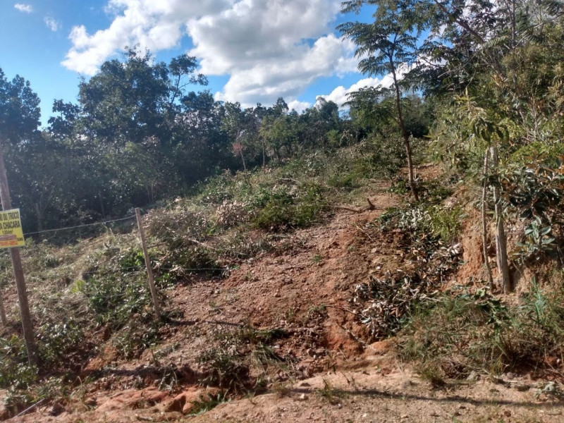 Chácara à venda São José com 1300m² e 4 quartos por R$ 45.000 - 501853765-d93296ba-d34e-4623-8e0e-3a9316b7c0f1.jpg
