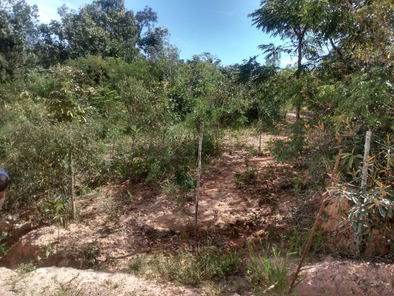 Chácara à venda São José com 1300m² e 4 quartos por R$ 45.000 - 568892953-img-20220312-095036744-hdr.jpg