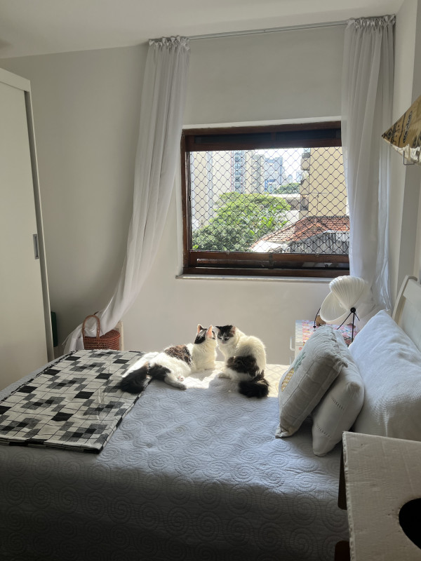 Apartamento à venda Jardim Paulista com 85m² e 2 quartos por R$ 1.210.000 - 446259390-87e50d3a-5f2c-4136-928c-edb50bcd2ac3.jpeg