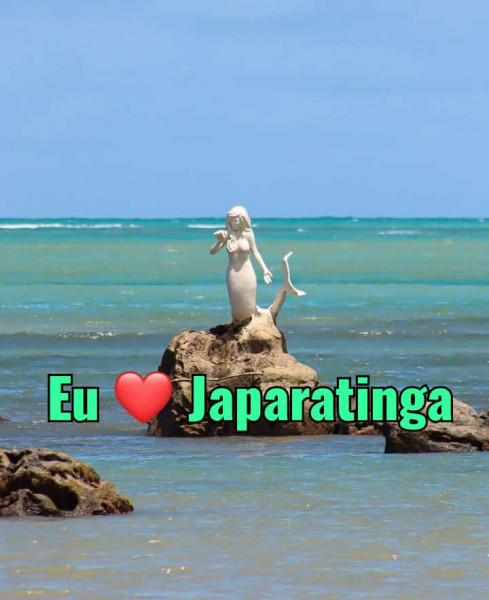 Casa para alugar Centro com 310m² e 7 quartos por R$ 12.000 - 2095993580-67a7d8ec-1350-42a0-9ab6-8b40be80d8d1.jpeg