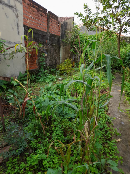 Casa à venda Balneario Itaguaí com 108m² e 2 quartos por R$ 270.000 - 1120579779-quintal.jpeg