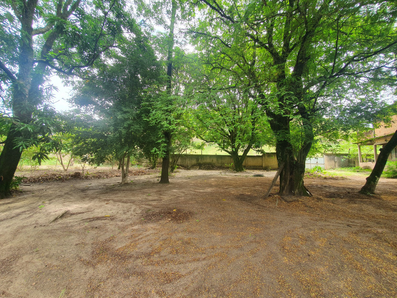 Terreno à venda Santa Rosa com 2700m² e 1 quarto por R$ 170.000 - 2075606177-lote10ao18.jpg