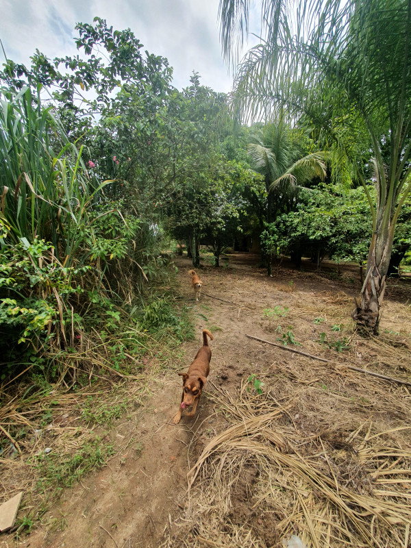 Terreno à venda Santa Rosa com 2700m² e 1 quarto por R$ 170.000 - 881950744-20210227-112449.jpg