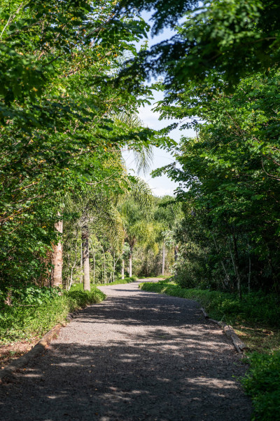 Terreno à venda centro com 450m² e 1 quarto por R$ 100.000 - 480025105-trilha-3.jpg