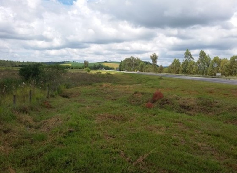 Terreno à venda Centro com 55782m² e 1 quarto por R$ 2.700.000 - 689960438-f13.jpg