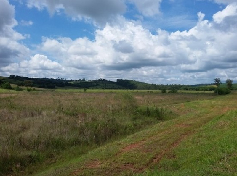 Terreno à venda Centro com 55782m² e 1 quarto por R$ 2.700.000 - 931207818-f20.jpg