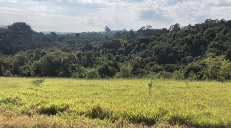 Terreno à venda Centro com 1000m² e 1 quarto por R$ 140.000 - 1492179179-terreno1.png