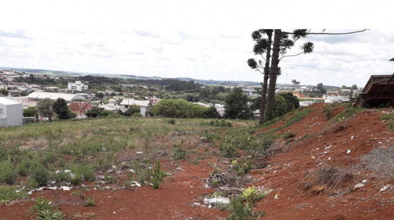 Terreno à venda Atlântico com 5000m² e 1 quarto por R$ 17.500.000 - 1713571910-62d7ff6f-ba56-4bcd-8340-99bf82bd8964.jpeg