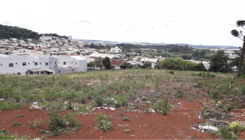 Terreno à venda Atlântico com 5000m² e 1 quarto por R$ 17.500.000 - 2083529358-0e5c0a16-791a-4a38-ad2d-5ccf18513113.jpeg