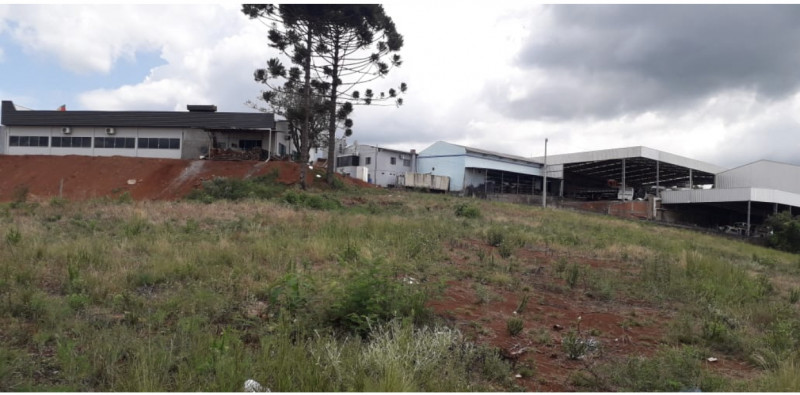 Terreno à venda Atlântico com 5000m² e 1 quarto por R$ 17.500.000 - 492412111-ff6d5523-68bd-4cb3-b99e-74fc1afaa125.jpeg