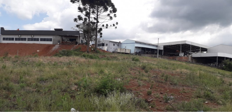 Terreno à venda Atlântico com 5000m² e 1 quarto por R$ 17.500.000 - 521430090-b64f47f4-4ce6-4ab4-a220-2c8e3931f4b9.jpeg