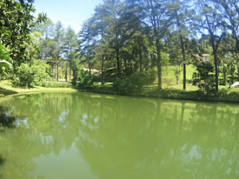 Casa de condomínio à venda Aldeinha com 340m² e 4 quartos por R$ 1.300.000 - 1522590573-img-2184.JPG