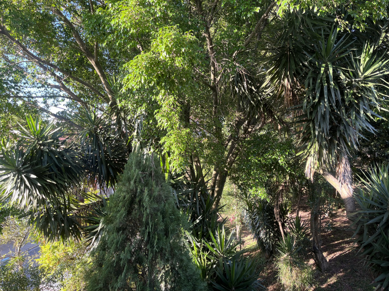 Casa à venda Recanto Monte Alegre com 330m² e 4 quartos por R$ 1.100.000 - 417380246-img-3130.jpeg