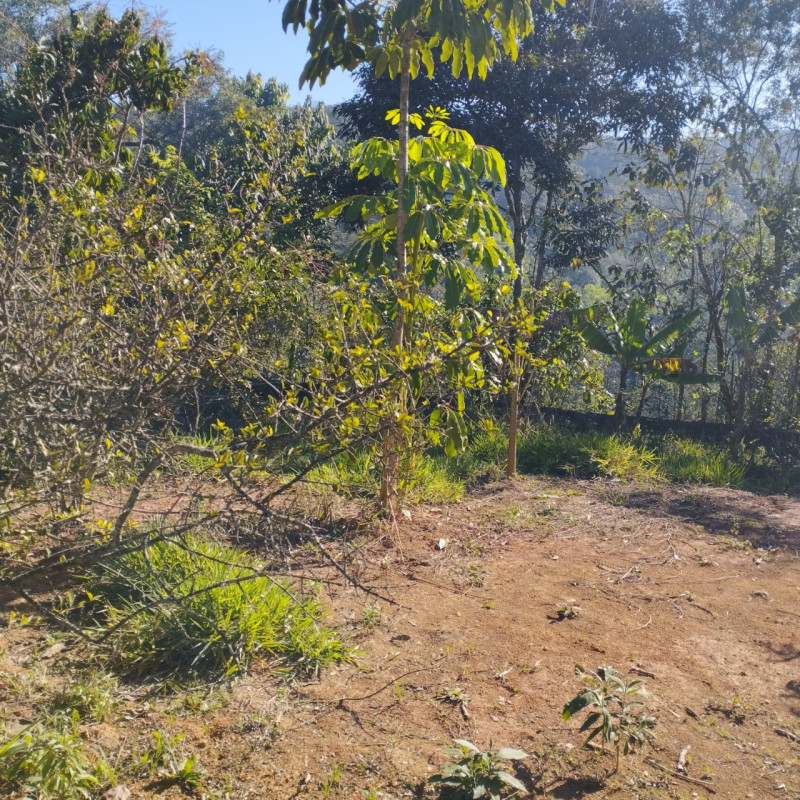 Chácara à venda Centro com 100m² e 2 quartos por R$ 395.000 - 1277810745-img-20221025-wa0038.jpg