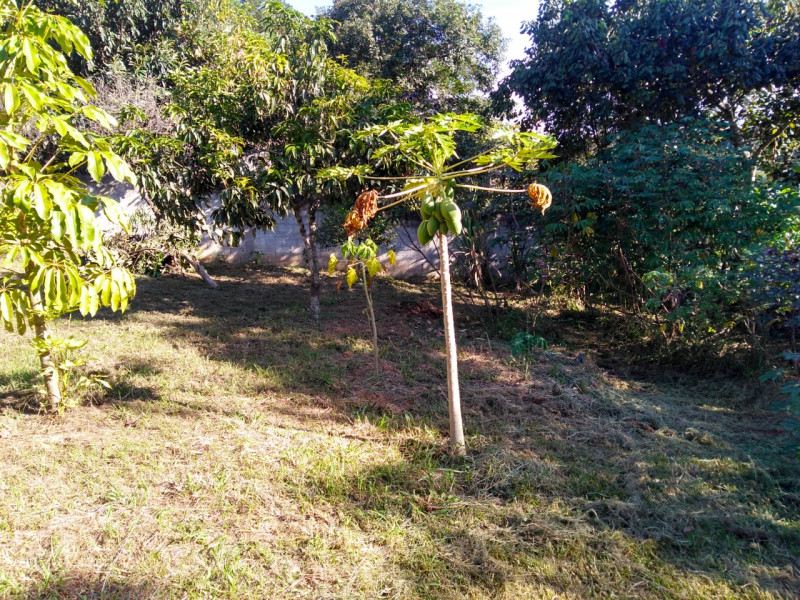 Chácara à venda Centro com 100m² e 2 quartos por R$ 395.000 - 1950825809-img-20221025-wa0042.jpg