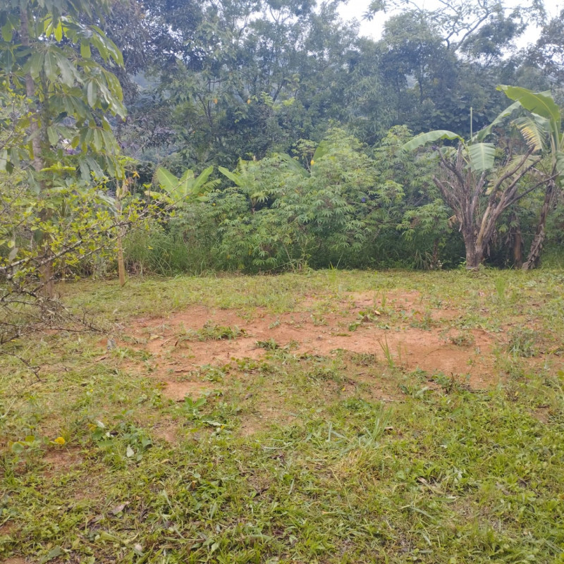 Chácara à venda Centro com 100m² e 2 quartos por R$ 395.000 - 579745824-img-20230205-wa0012.jpg