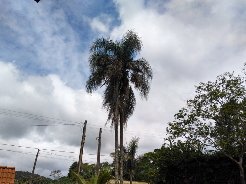 Chácara à venda Centro com 100m² e 2 quartos por R$ 395.000 - 97020371-img-20221025-wa0044.jpg