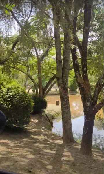 Terreno à venda Pinheirinho com 4894m² e 1 quarto por R$ 350.000 - 444642596-captura-de-tela-2023-04-24-162535.png