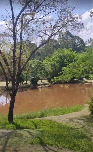 Terreno à venda Pinheirinho com 4894m² e 1 quarto por R$ 350.000 - 748288063-captura-de-tela-2023-04-24-162646.png