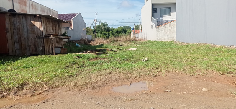 Terreno à venda Centro com 252m² e 1 quarto por R$ 250.000 - 562628609-1682433228552.jpg