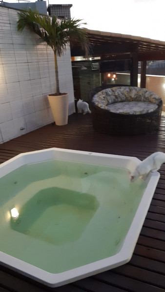 Cobertura à venda Braga com 250m² e 5 quartos por R$ 1.600.000 - 1509979854-img-20210415-wa00961.jpg