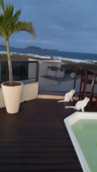 Cobertura à venda Braga com 250m² e 5 quartos por R$ 1.600.000 - 1793418393-img-20210415-wa0078.jpg