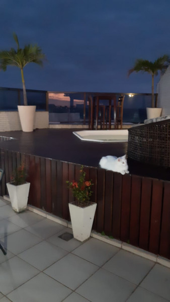 Cobertura à venda Braga com 250m² e 5 quartos por R$ 1.600.000 - 1853290695-img-20210415-wa0094.jpg