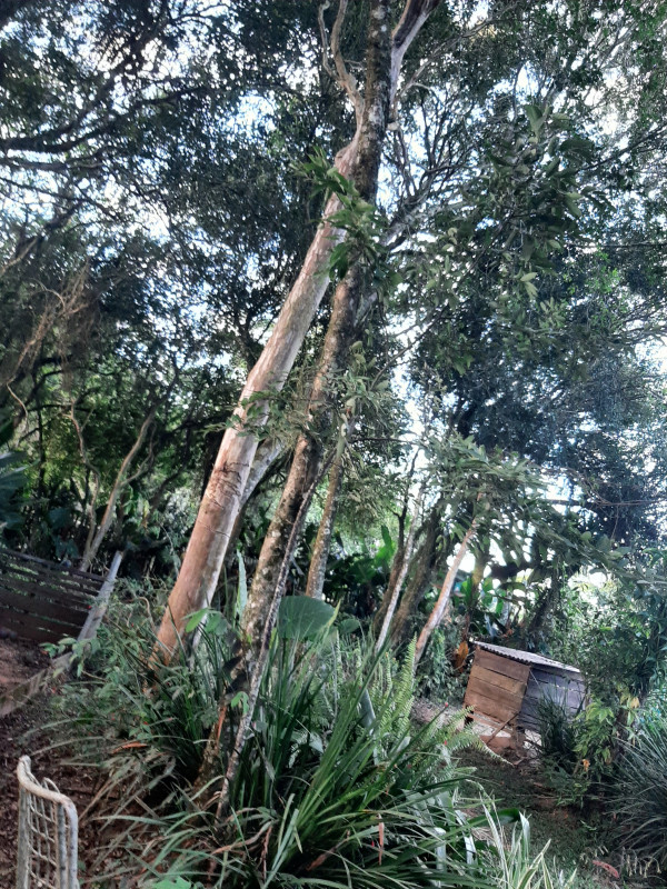 Casa à venda Lomba Grande com 2730m² e 3 quartos por R$ 350.000 - 1420768103-20230424-070204.jpg