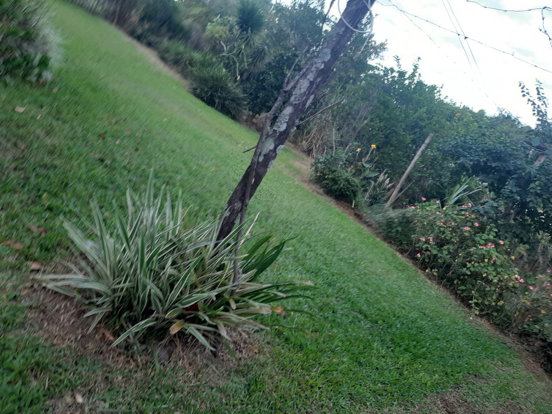 Casa à venda Lomba Grande com 2730m² e 3 quartos por R$ 350.000 - 17198839-20230424-070021.jpg