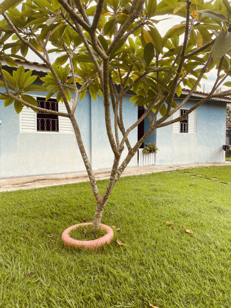 Chácara à venda Casa Grande com 3000m² e 4 quartos por R$ 450.000 - 1181930917-img-8627.jpeg