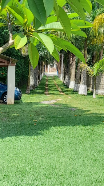 Chácara à venda Casa Grande com 3000m² e 4 quartos por R$ 450.000 - 1350184296-b432f377-2554-4688-a3ac-f4c031b42649.jpeg