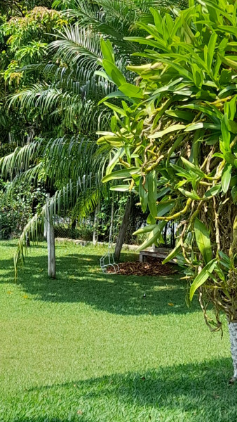 Chácara à venda Casa Grande com 3000m² e 4 quartos por R$ 450.000 - 165506045-cc547647-942e-4adf-a0e9-fe4194c750f3.jpeg