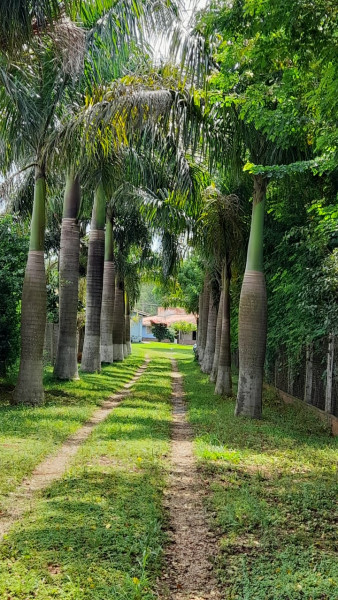 Chácara à venda Casa Grande com 3000m² e 4 quartos por R$ 450.000 - 1907948072-76e65d2e-1748-4caf-bad9-52fe32fbc1df.jpeg
