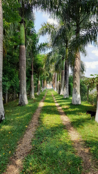 Chácara à venda Casa Grande com 3000m² e 4 quartos por R$ 450.000 - 374121762-9a57c0bd-ba45-4ecc-9025-aa339aec988b.jpeg