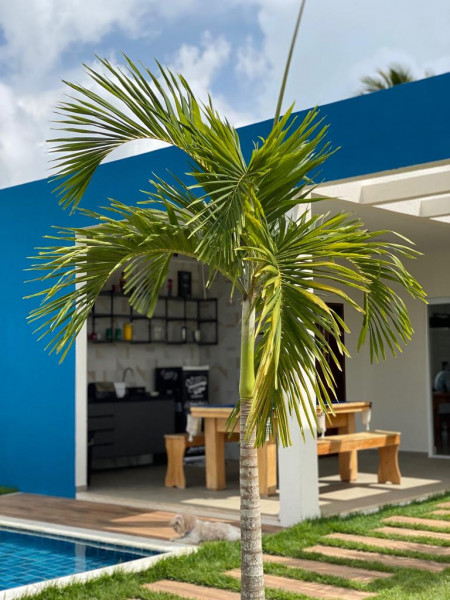 Casa de condomínio para alugar Centro com 250m² e 3 quartos por R$ 5.500 - 604142280-4.jpeg
