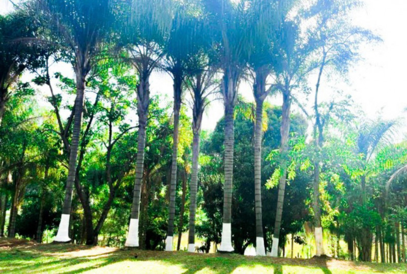 Chácara à venda Colinas do Mosteiro de Itaici com 3m² e 4 quartos por R$ 2.700.000 - 921447761-img-6232.jpeg
