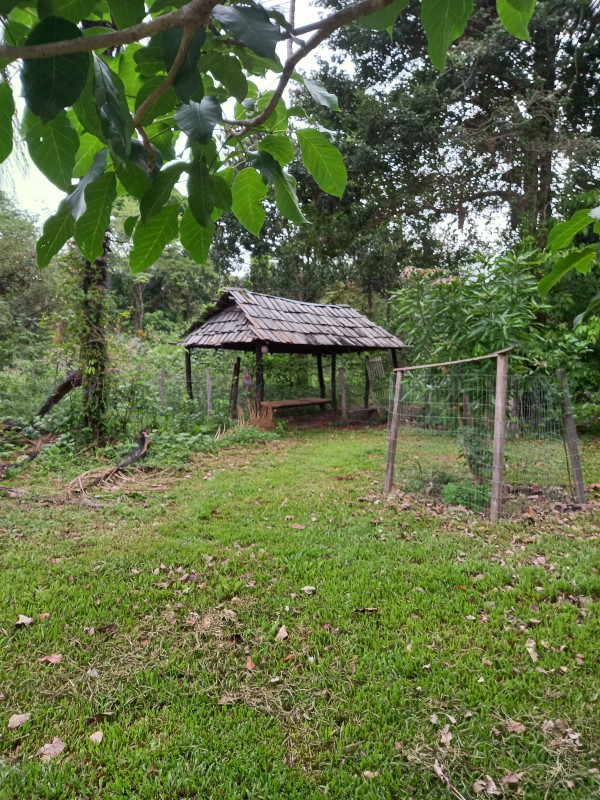 Sítio à venda Centro com 83877m² e 3 quartos por R$ 700.000 - 1929469181-20230430-071548.jpg