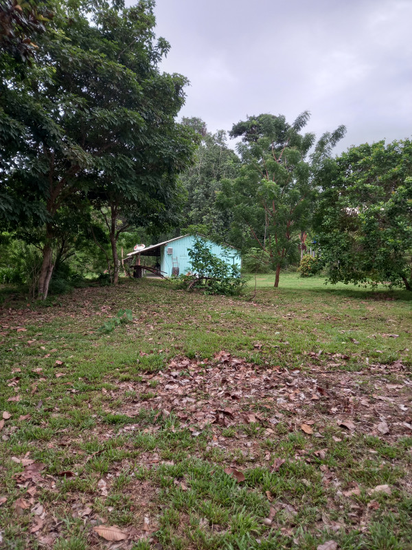 Sítio à venda Centro com 83877m² e 3 quartos por R$ 700.000 - 501222990-20230430-071623.jpg