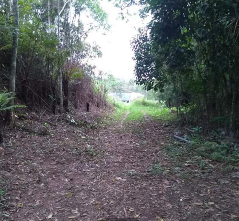 Sítio à venda Centro com 72000m² e 1 quarto por R$ 300.000 - 1632503781-screenshot-20221010-212542-facebook.jpg