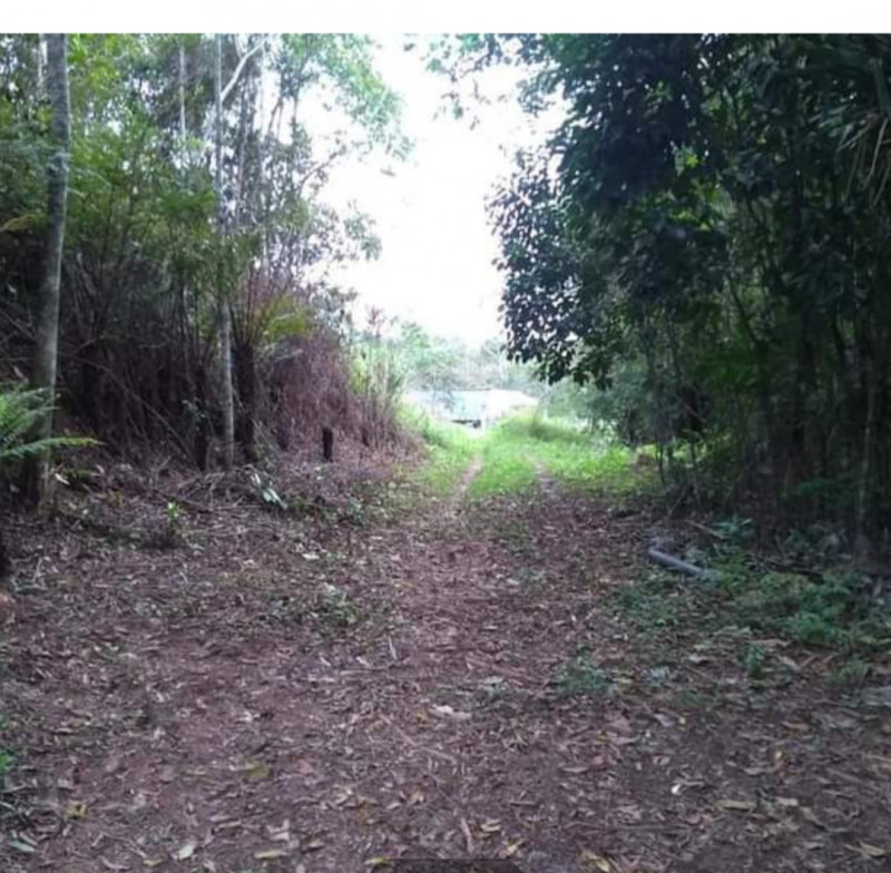 Sítio à venda Centro com 72000m² e 1 quarto por R$ 300.000 - 766291161-screenshot-20221010-212604-facebook.jpg