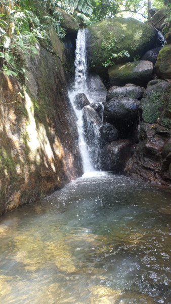 Sítio à venda Centro com 3500m² e 3 quartos por R$ 300.000 - 959700340-img-20221119-093937917.jpg