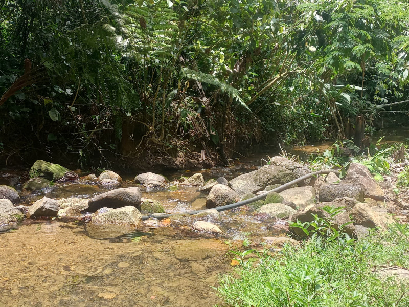 Sítio à venda Centro com 3500m² e 3 quartos por R$ 300.000 - img-20230102-113644537-hdr.jpg